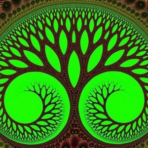 Meet your Posher, Bobbie